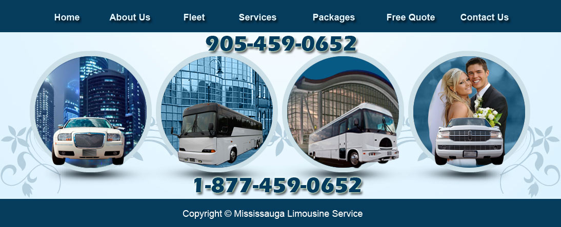 Mississauga Party Bus Service